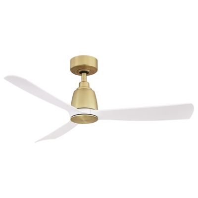 Kute Ceiling Fan