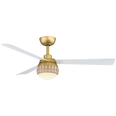 Paget LED Ceiling Fan