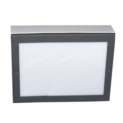 LED Paver Light