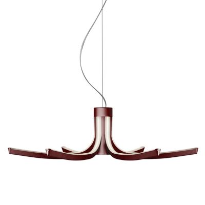 Asteria LED Chandelier