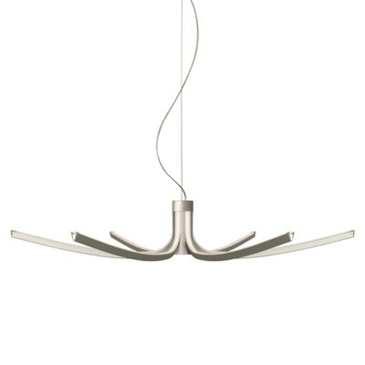Asteria LED Chandelier