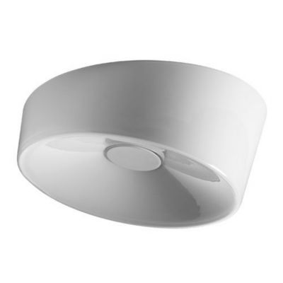 Lumiere XXL Wall/Ceiling Light