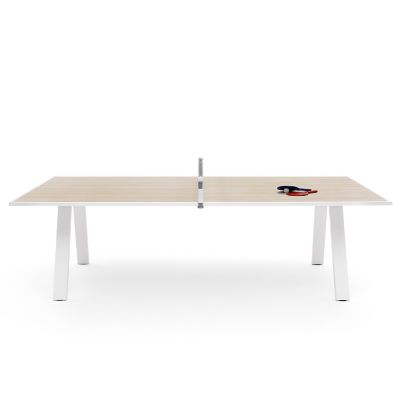 Grasshopper Ping Pong Table