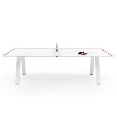 Grasshopper Outdoor Ping Pong Table