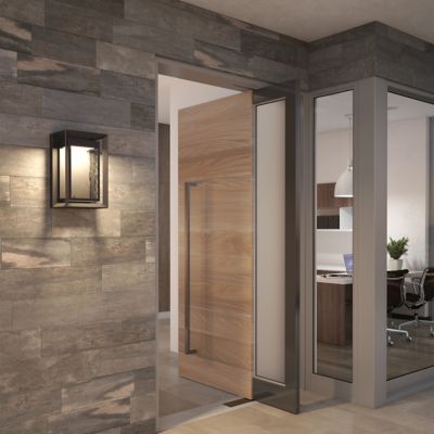 Urbandale 1-Light Outdoor LED Wall Lantern