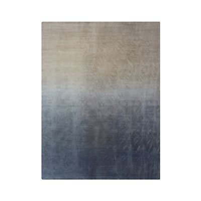 Degrade Area Rug
