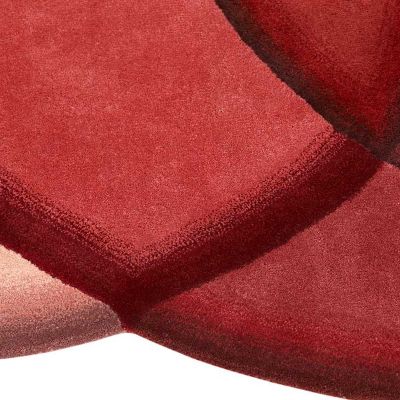 Crystal Area Rug by Gan Rugs at Lumens.com