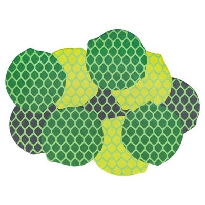 Citrus Area Rug