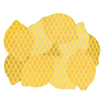 Citrus Area Rug