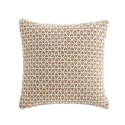 Raw Pillow 20x20