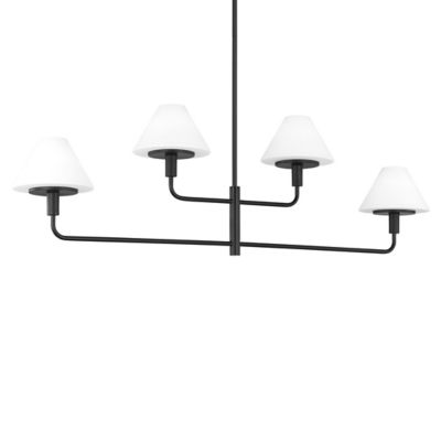 Mendota Multi-Light Chandelier