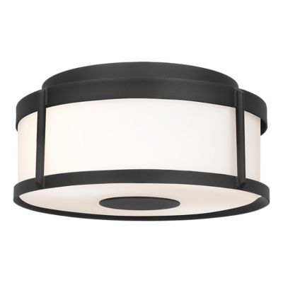 Luning Outdoor Flushmount