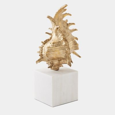 Spider Conch Shell Sculpture