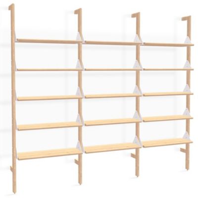 Branch Shelving Unit