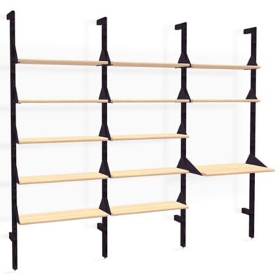Branch Shelving Unit with Desk