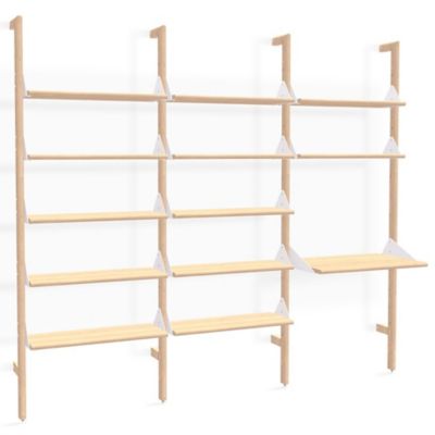 Branch Shelving Unit with Desk