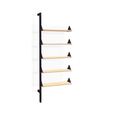 Branch Wall Shelving Unit Add-On