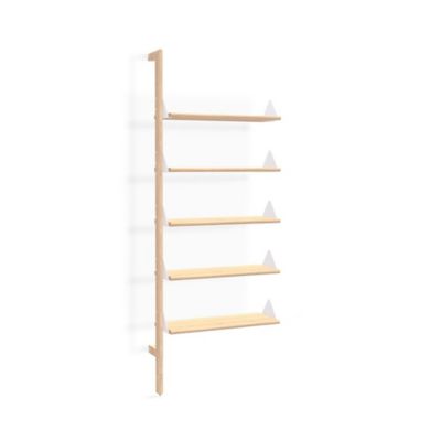 Branch Wall Shelving Unit Add-On