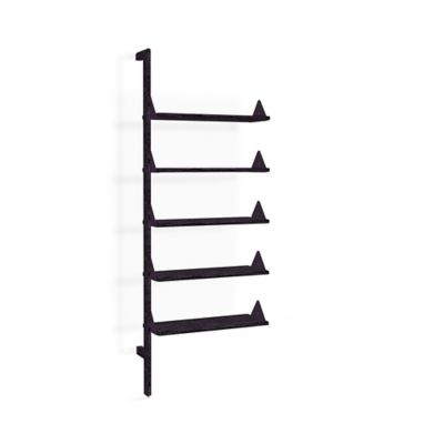 Branch Wall Shelving Unit Add-On