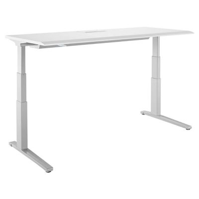Renew Sit To Stand Desk, C Foot-Laminate Top(Large)-OPEN BOX