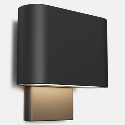 Kalli Wall Sconce