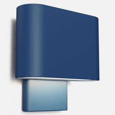 Kalli Wall Sconce