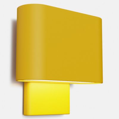 Kalli Wall Sconce