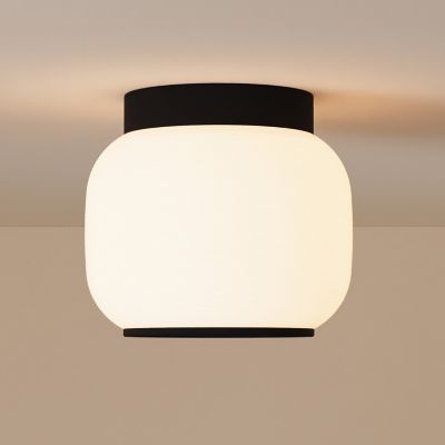 Canopy Flushmount