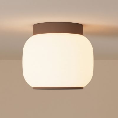 Canopy Flushmount
