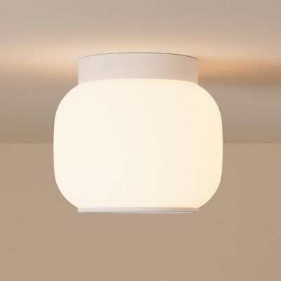 Canopy Flushmount