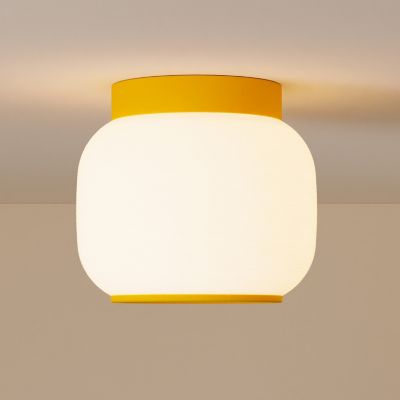 Canopy Flushmount