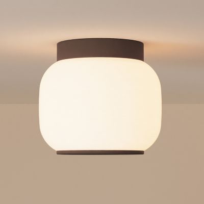 Canopy Flushmount