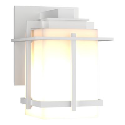 Tourou Coastal Outdoor Downlight Small Wall Sconce