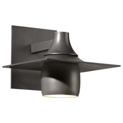Hood Coastal Outdoor Dark Sky Wall Sconce
