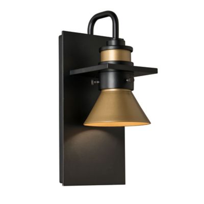 Erlenmeyer Dark Sky Outdoor Wall Sconce