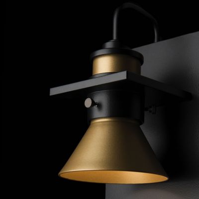 Erlenmeyer Dark Sky Outdoor Wall Sconce