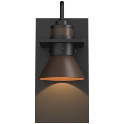 Erlenmeyer Dark Sky Outdoor Wall Sconce