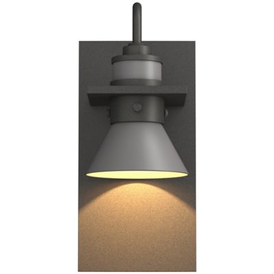 Erlenmeyer Dark Sky Outdoor Wall Sconce