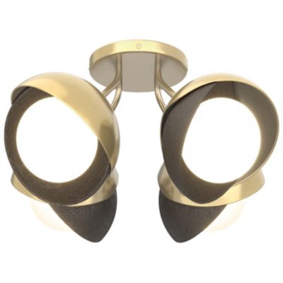 Brooklyn 4-Light Double Shade Semi-Flushmount