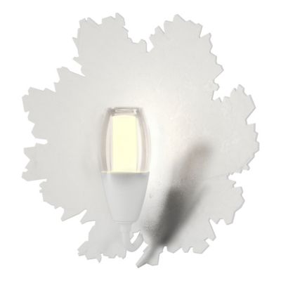 Pangea Wall Sconce