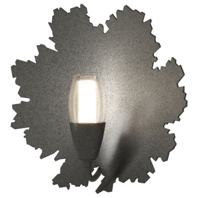 Pangea Wall Sconce