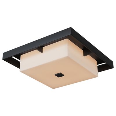 Shadow Box Outdoor Flushmount