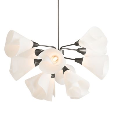 Mobius Multi-Light Pendant (Iron|Standard|12 Light)-OPEN BOX