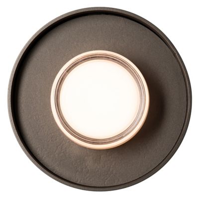 Focal LED Wall Sconce/Semi-Flushmount