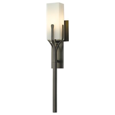 Mediki Wall Sconce