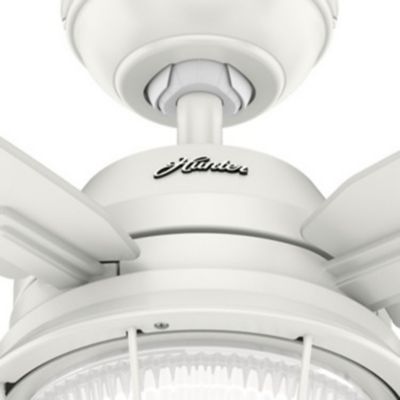Ocala Ceiling Fan by Hunter Fans at