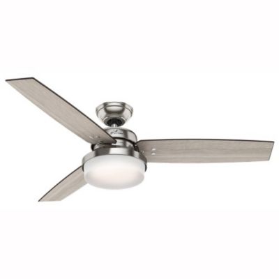 Sentinel Ceiling Fan