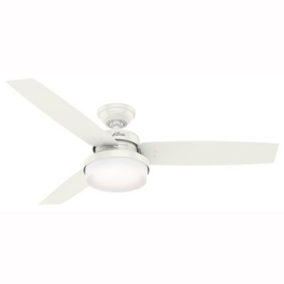 Sentinel Ceiling Fan