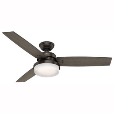 Sentinel Ceiling Fan