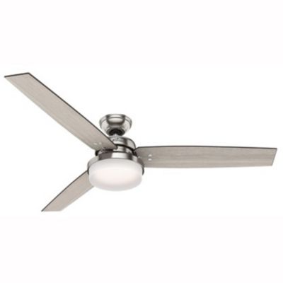 Sentinel Ceiling Fan